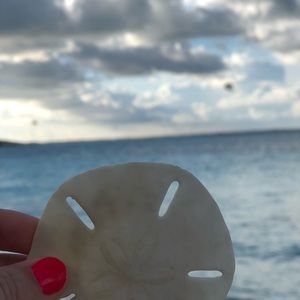 Meet your Posher, Elliott